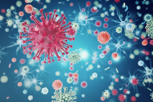 Làm gì nếu con bạn có nguy cơ cao bị nhiễm virus RSV? - Báo Quảng Ninh điện  tử