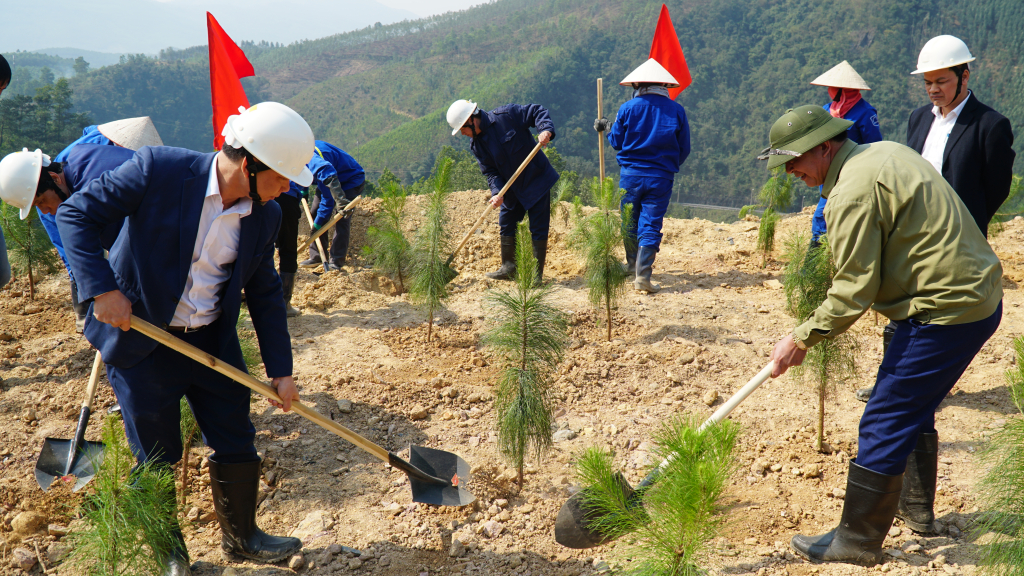 Trồng cây hoàn nguyên môi trường tại Công ty CP than Vàng Danh.