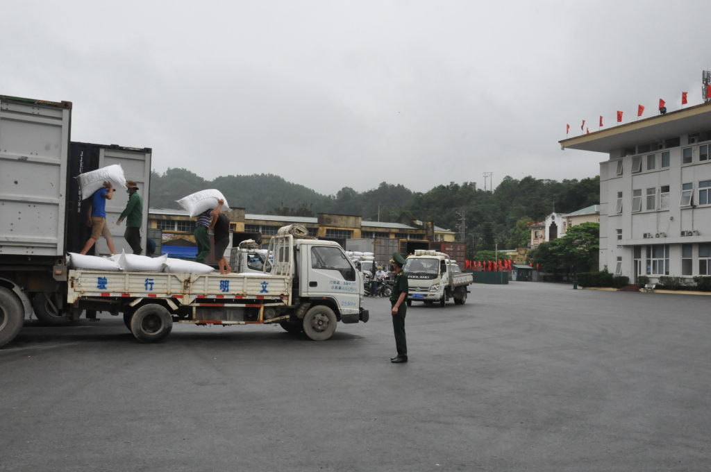 Xuất khẩu hạt tiêu qua cửa khẩu Bắc Phong Sinh (Ảnh chụp ngày 28/4)