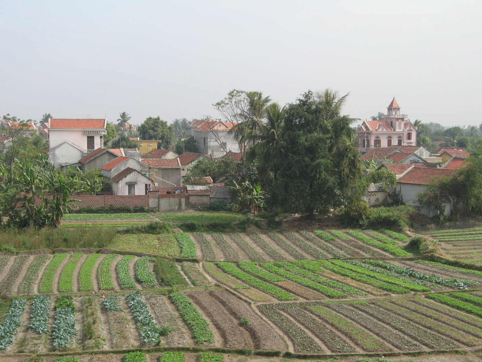 Đầu thế kỷ XV, bên cạnh Đông Triều, vùng đất An Bang (Quảng Ninh ngày nay) hình thành thêm vùng nông nghiệp mới ở Yên Hưng.