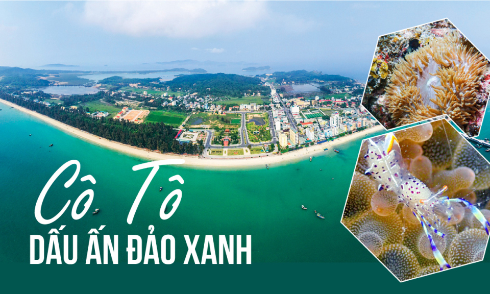 Cô Tô - Dấu ấn đảo xanh