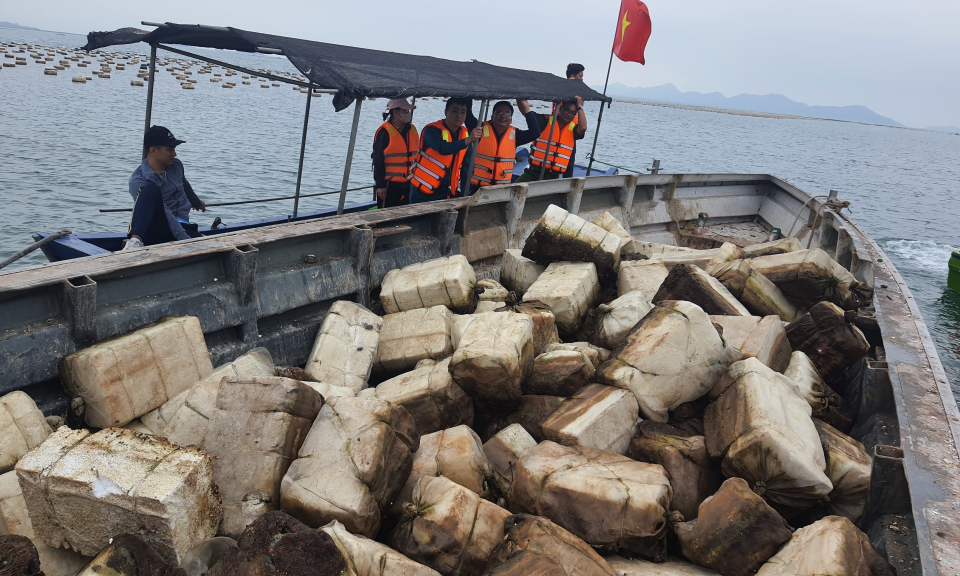Triển khai đợt cao điểm lập lại trật tự nuôi trồng thủy sản trên biển