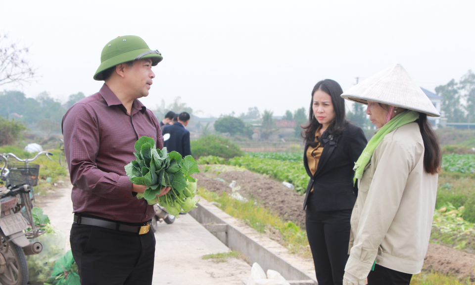 Quảng Yên nhiều giải pháp nâng cao chất lượng đời sống nhân dân