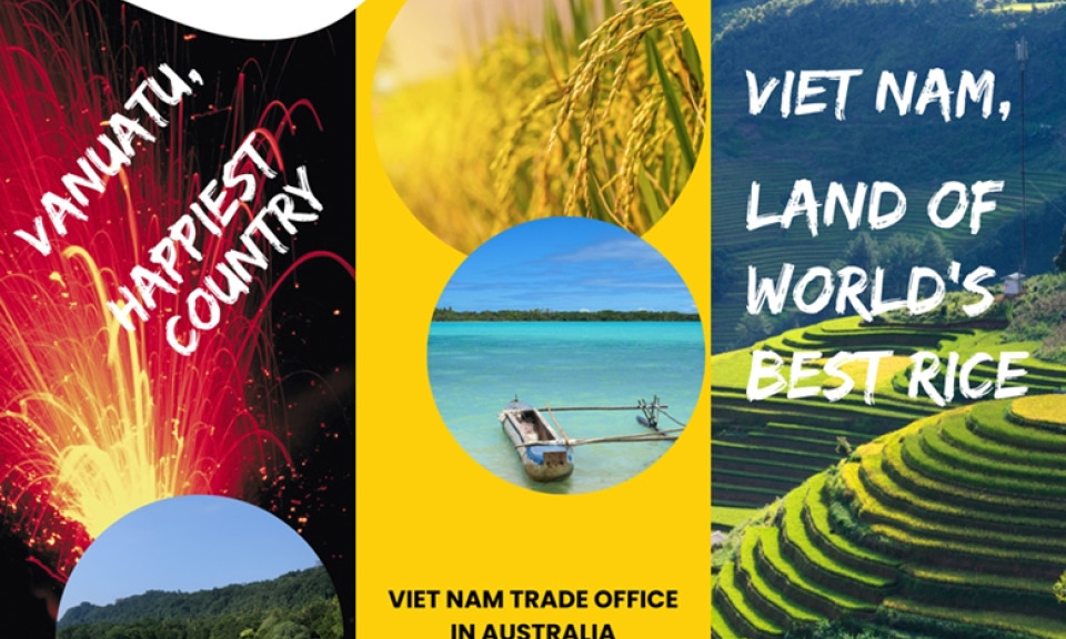 Ten containers of Vietnamese ST25 rice exported to Vanuatu