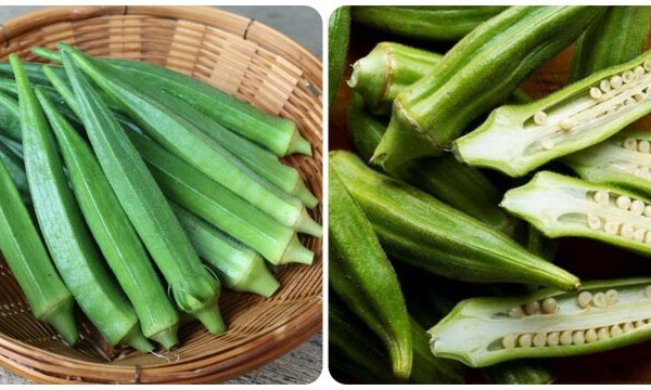 Đậu bắp - thực phẩm quen thuộc rẻ tiền chống ung thư cực tốt