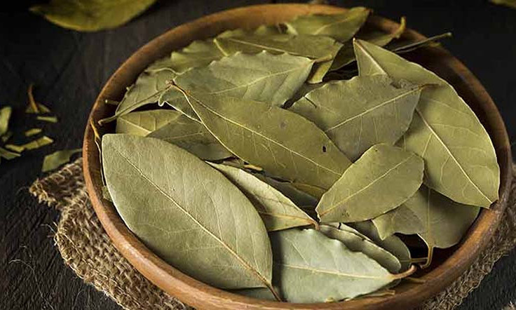 Một loại lá cây xuất khẩu bất ngờ tăng 5.083%