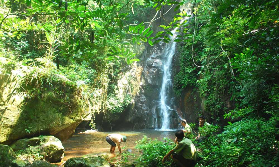 The primitive beauty of Khe Ria waterfall 