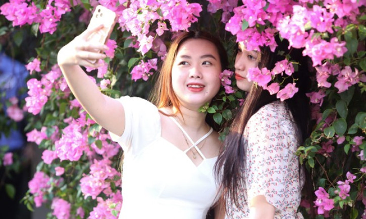 Con đường ngập tràn hoa giấy giữa trung tâm TPHCM 'gây sốt' giới trẻ
