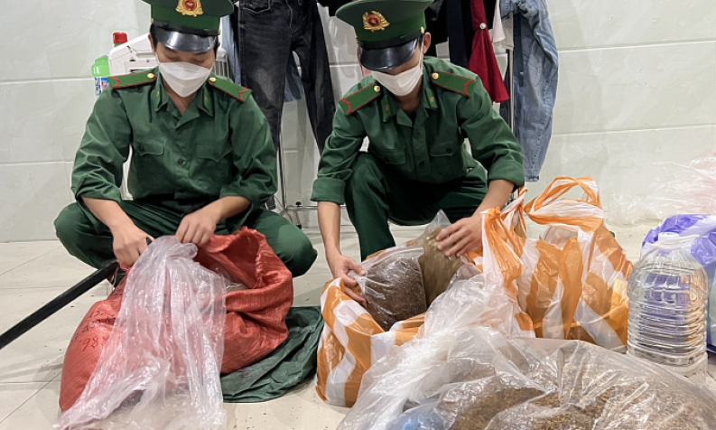 Tẩm ma túy vào thảo mộc