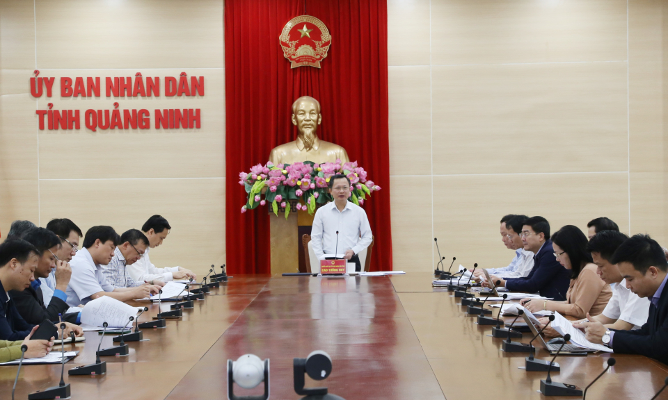 UBND tỉnh nghe báo cáo phê duyệt kế hoạch phát triển nhà ở trên địa bàn tỉnh năm 2023