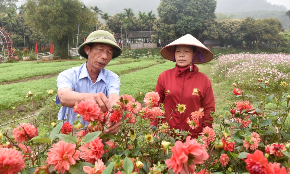 Người cán bộ thôn dẫn dắt phong trào đổi mới