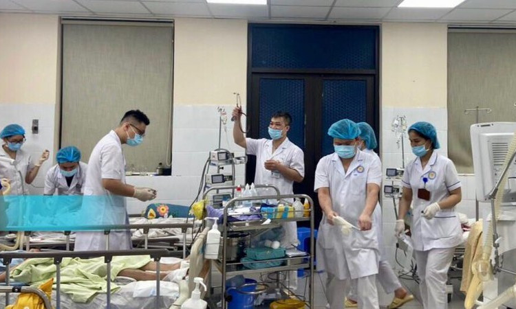 Bệnh nhân ngộ độc lá ngón được cứu sống kịp thời 