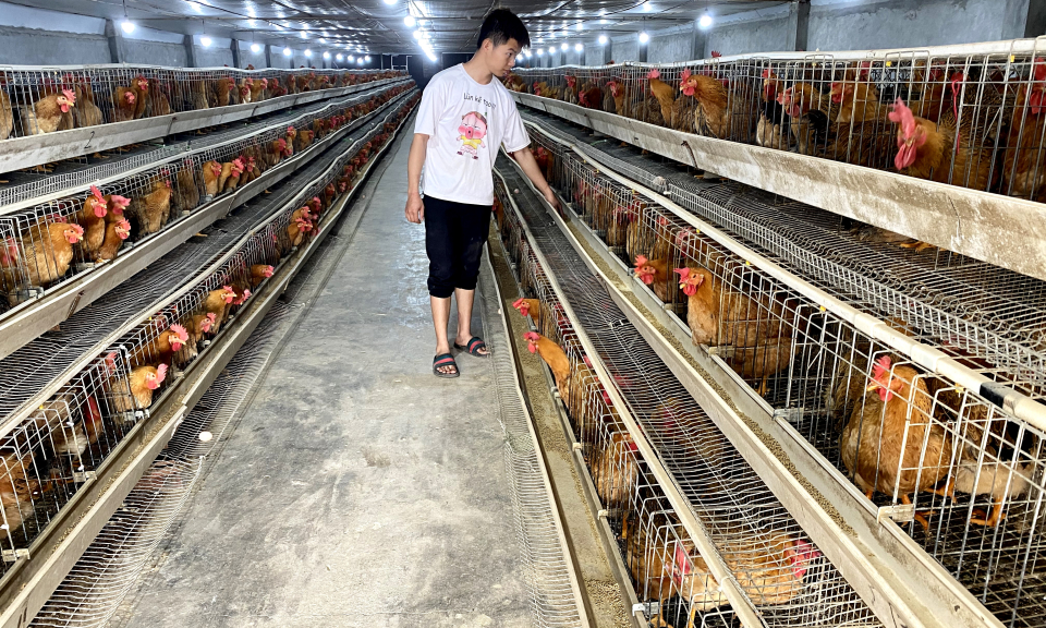 Tiên Yên cải thiện môi trường đầu tư kinh doanh
