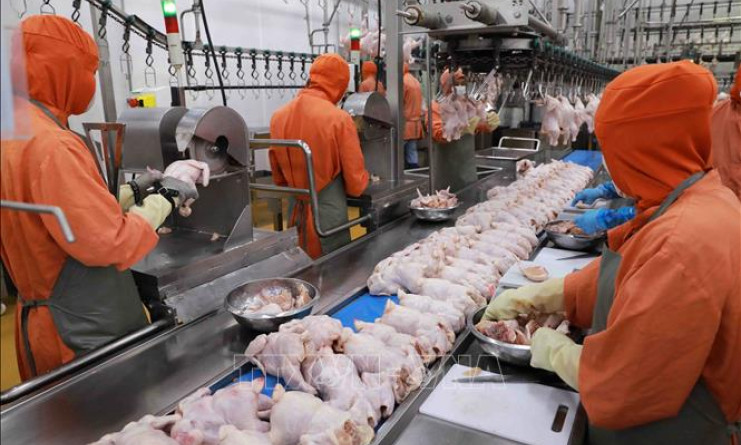 Mở rộng thị trường cho ngành công nghiệp thực phẩm