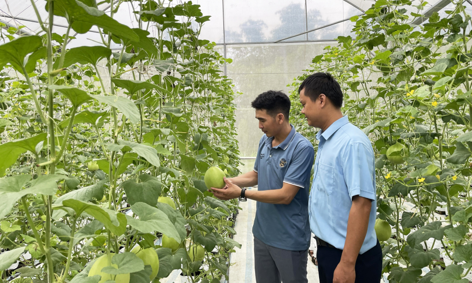 Nông dân Quảng Ninh tích cực chuyển đổi số