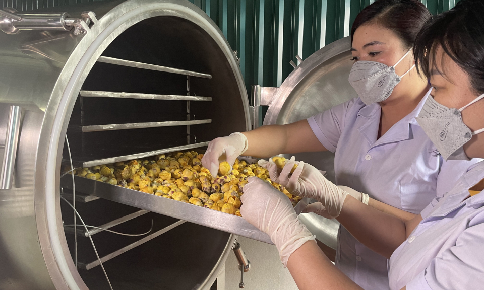 Đẩy mạnh ứng dụng KHCN vào sản xuất