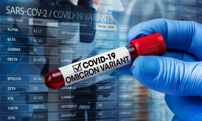 New COVID-19 cases rising again, particularly Omicron variant: health official