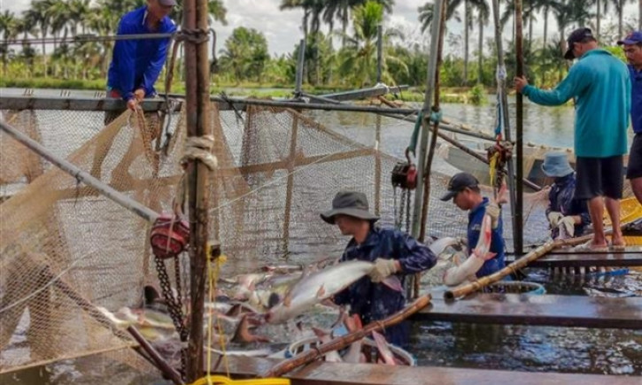 PM offers solutions to promote fishery, forestry industries