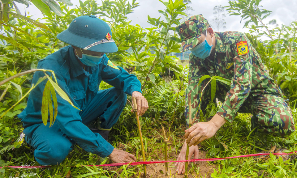 Những “thành lũy xanh” nơi biên cương