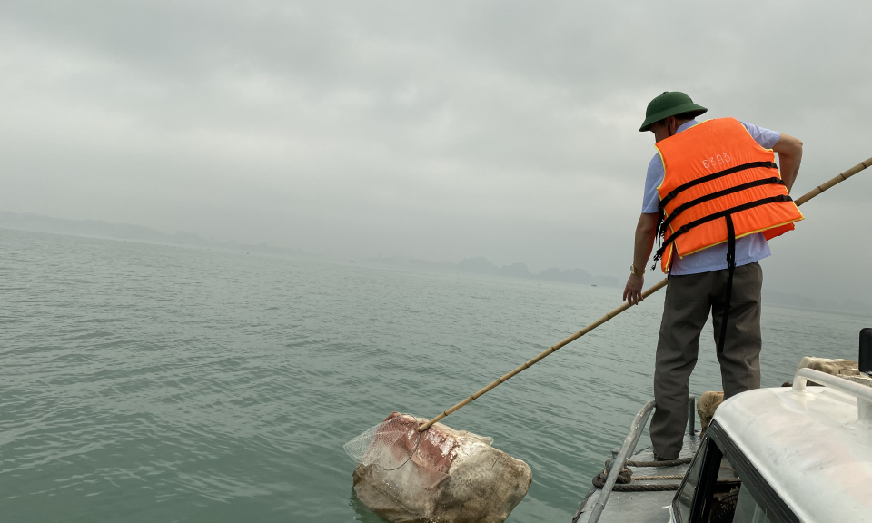 Tăng cường công tác quản lý bảo vệ môi trường, đa dạng sinh học tại các Di sản và vùng đệm