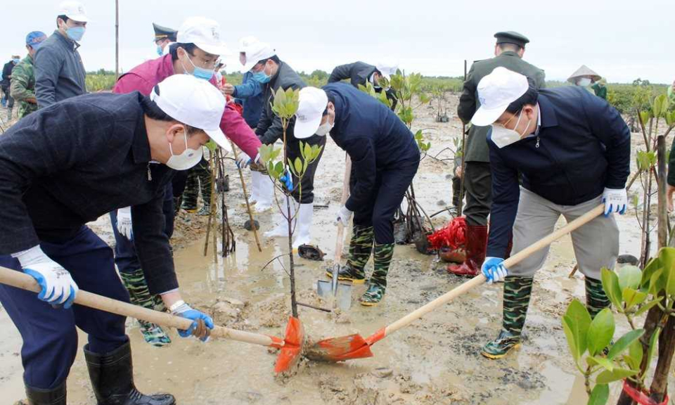 Giữ màu xanh của biển