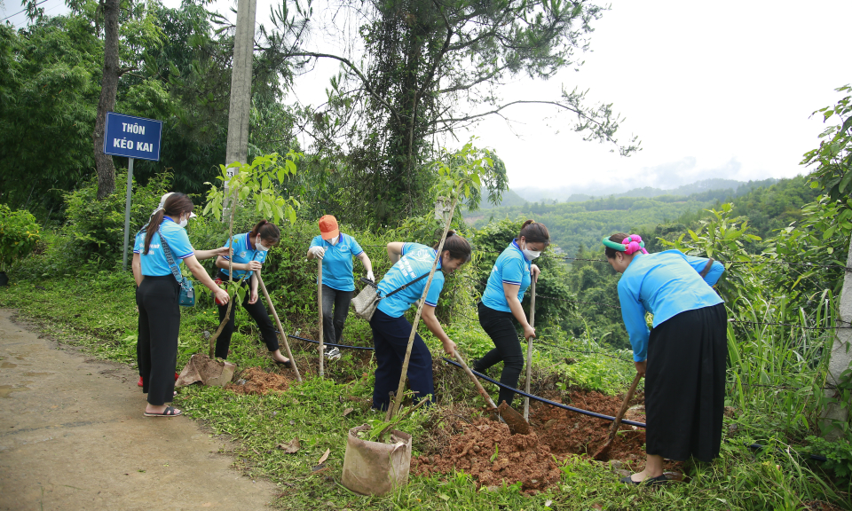 Tiếp tục lan tỏa phong trào "5 không, 3 sạch"