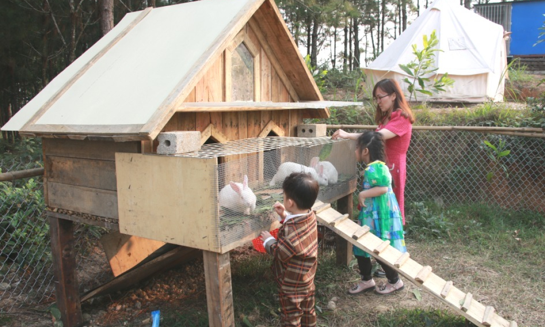 Dã ngoại cuối tuần - Kết nối gia đình  