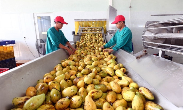 Food industry has large potential to expand markets
