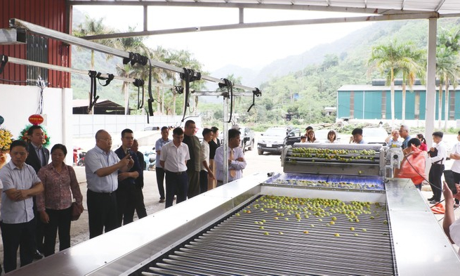 Bản tin vùng Đông Bắc ngày 19/4/2023