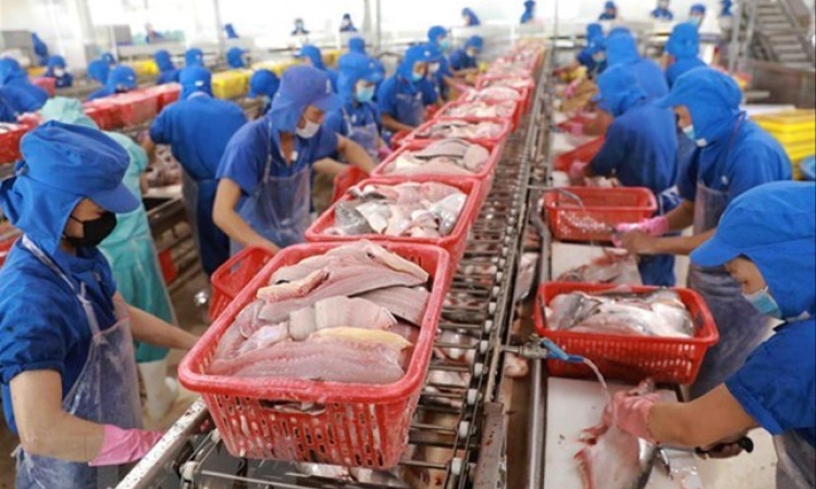 Gia tăng đà sụt giảm xuất khẩu thủy sản