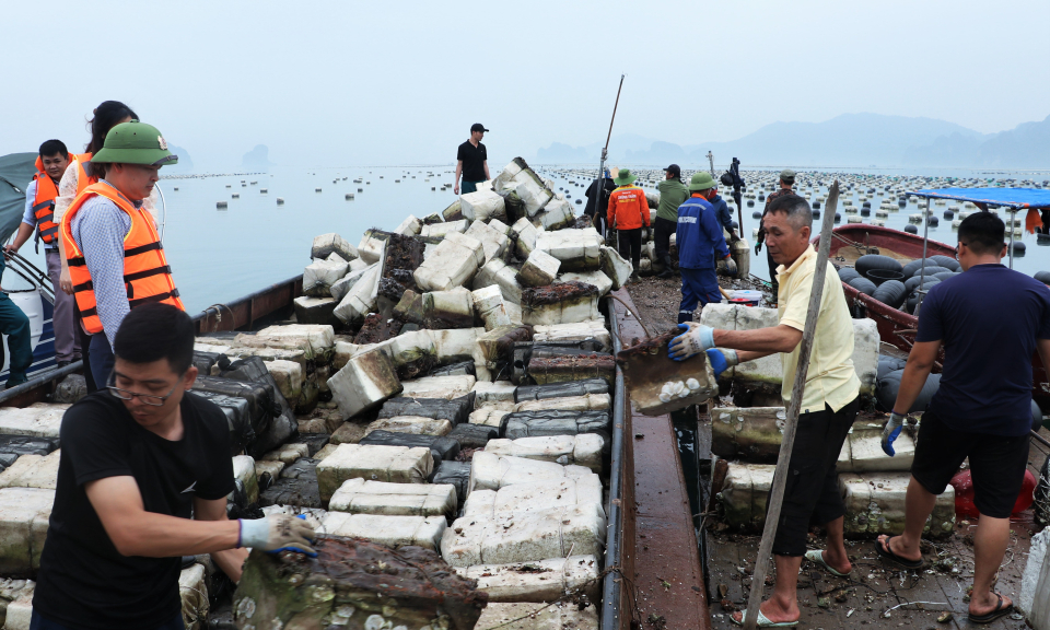 Vân Đồn: Huy động tối đa nhân lực hỗ trợ người dân chuyển đổi phao xốp trong nuôi trồng thuỷ sản