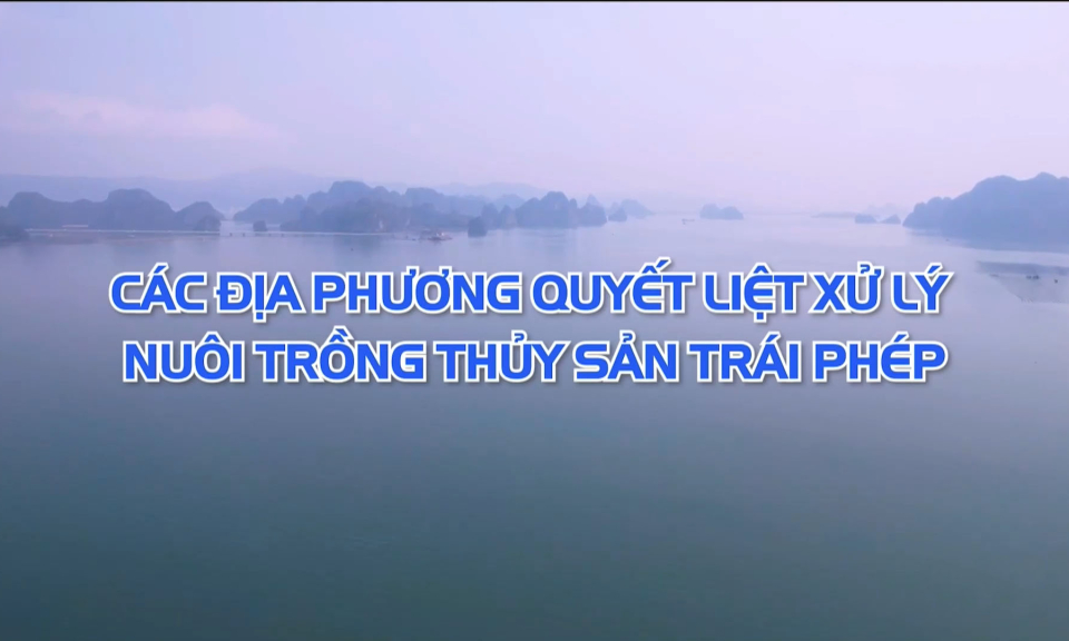 Các địa phương quyết liệt xử lý nuôi trồng thủy sản trái phép