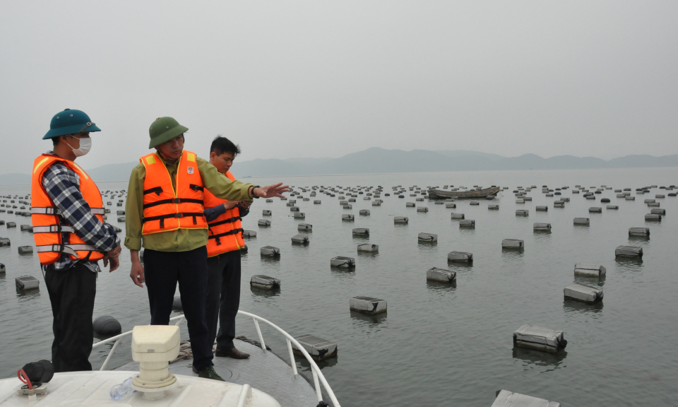 Đầm Hà lập lại trật tự trong NTTS trên biển