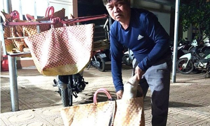 Bắt đối tượng trộm hàng chục con heo giống của dân