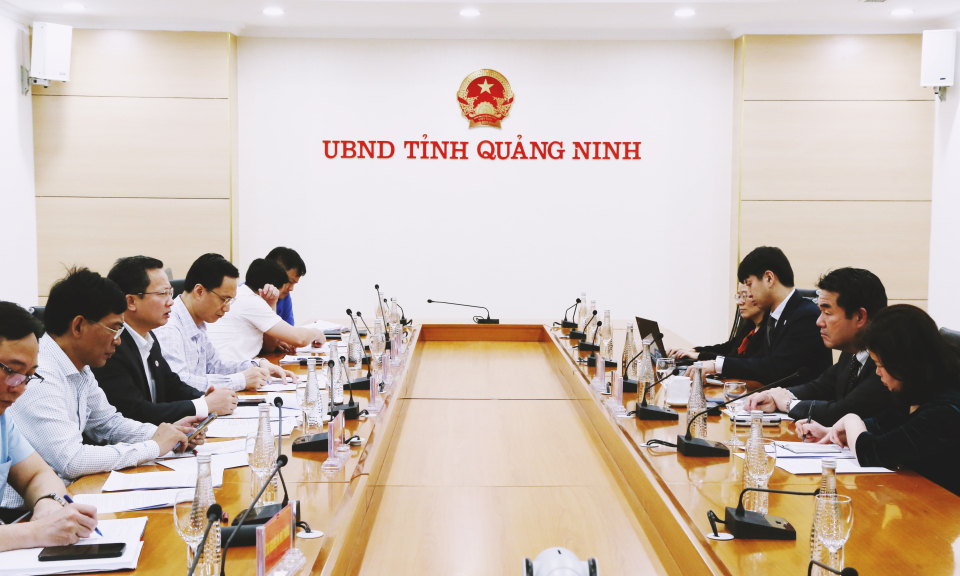 UBND tỉnh làm việc với JICA về Dự án thoát nước và xử lý nước thải TP Hạ Long