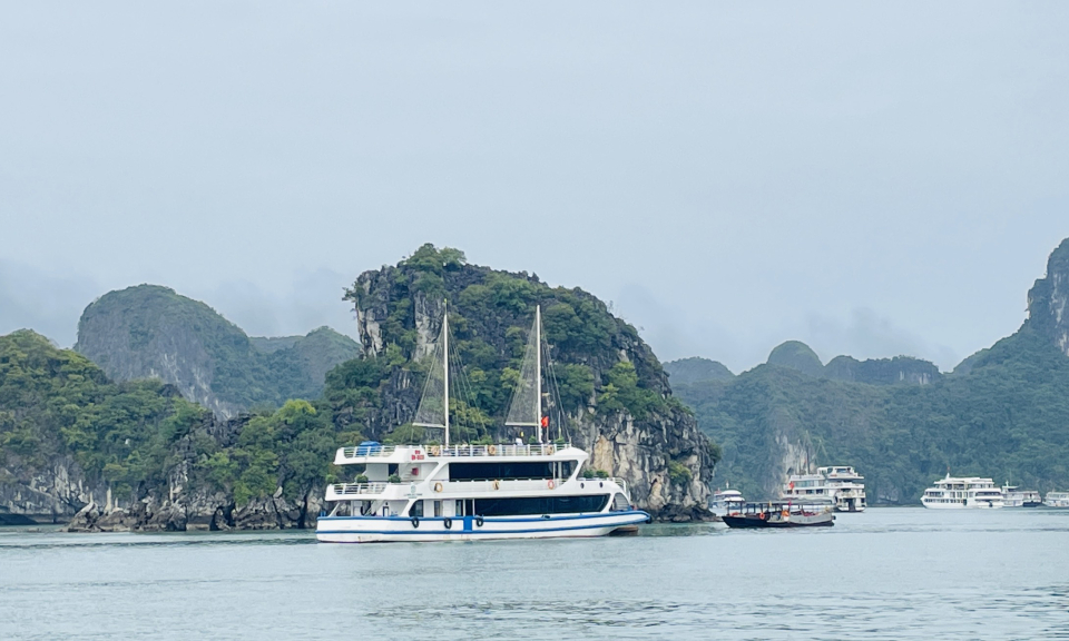 Làm sạch môi trường biển