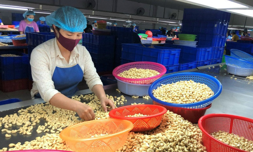 Cú xoay chiều lịch sử, ngành hàng tỷ USD chao đảo từ ngôi số 1 thế giới