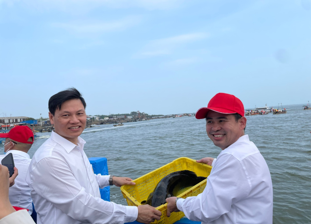 Đại biểu tỉnh Quảng Ninh tham gia đoàn công tác Việt Nam thả giống cá mú xanh bố mẹ xuống vùng biển thành phố Đông Hưng (Trung Quốc). 