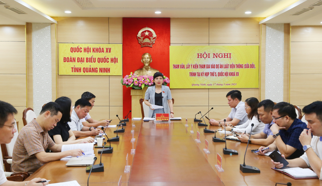 Đồng chí Nguyễn Thị Thu Hà, Phó Trưởng Đoàn ĐBQH tỉnh phát biểu tại hội nghị.