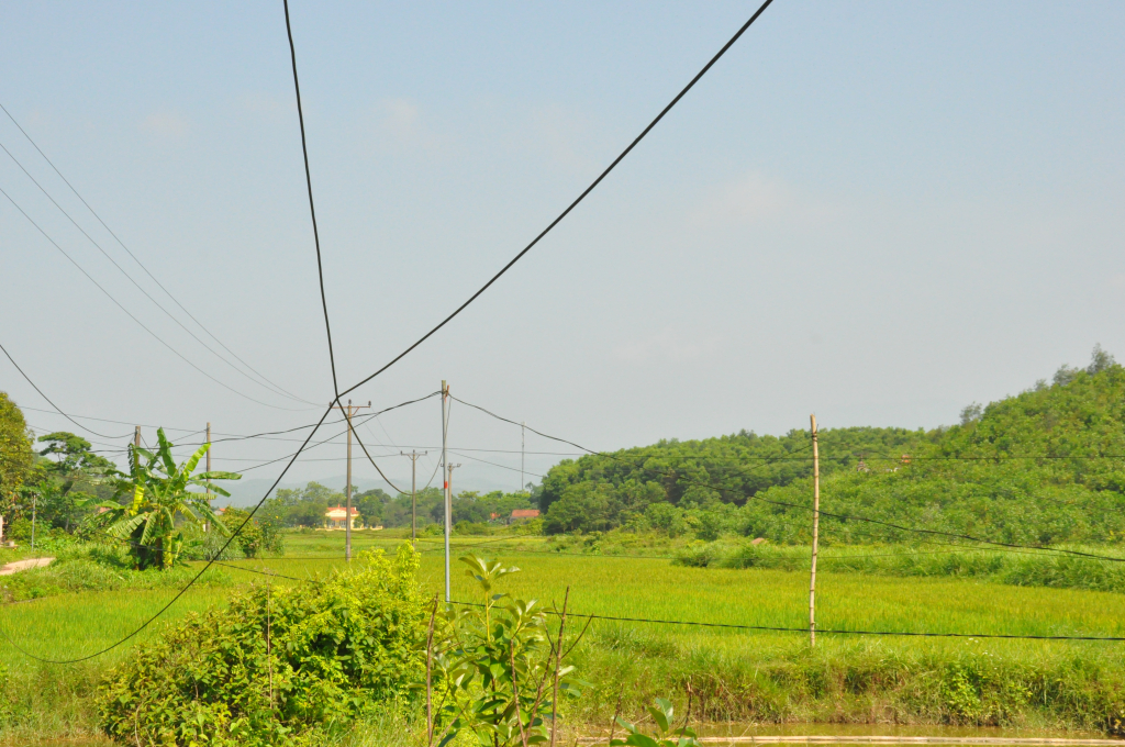 Những dây điện chằng chéo do người dân kéo điện tại khu vực ngã tư Tài Dàu, Xóm Khe, xã Đại Bình