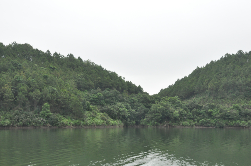 Cùng với rừng trồng, trong lòng hồ Tràng Vinh có hàng trăm ha rừng tự nhiên