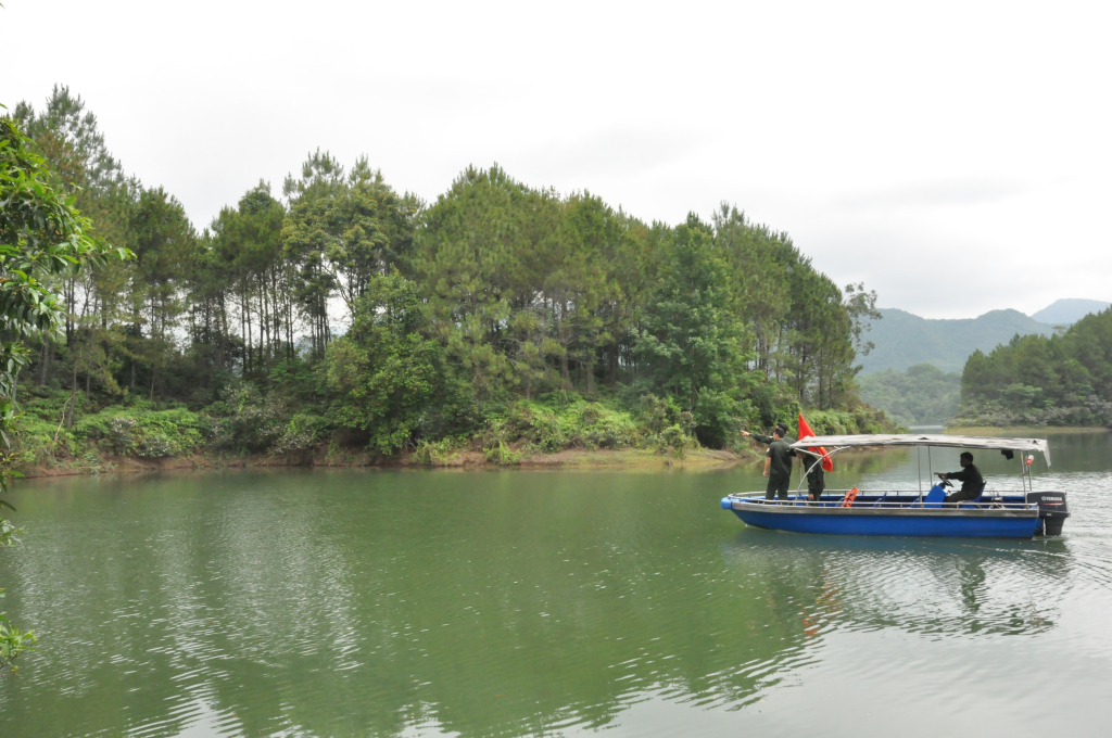 Cán bộ, nhân viên Trạm quản lý lý rừng phòng hộ Hải Tiến tuần tra, bảo vệ rừng trong lòng hồ Tràng Vinh