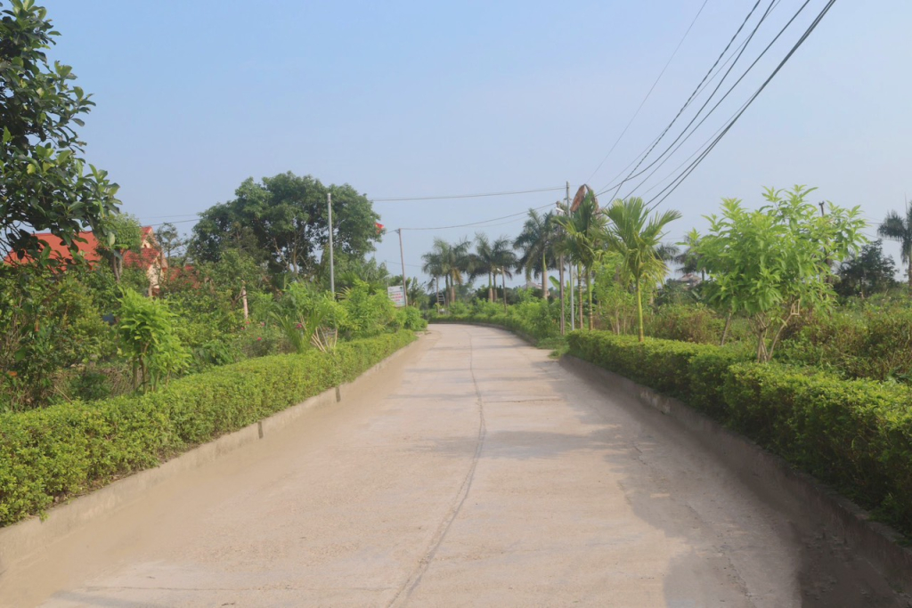Tuyến đường thôn Tân Hợp được trồng cây xanh và cắt tỉa thường xuyên.