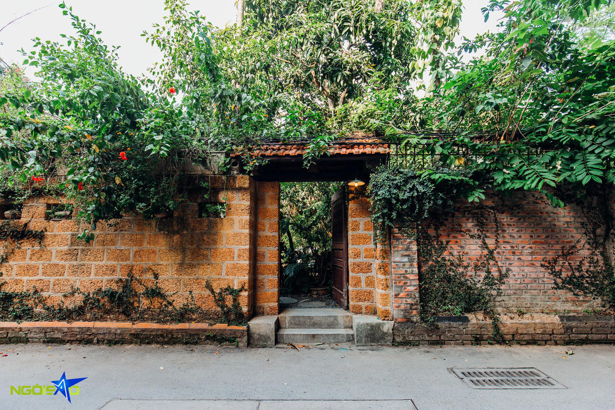 Escape to greenleaf retreat: A tranquil coffee spot in Hanoi