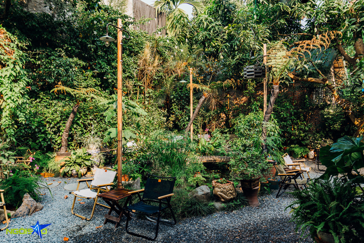 Escape to greenleaf retreat: A tranquil coffee spot in Hanoi