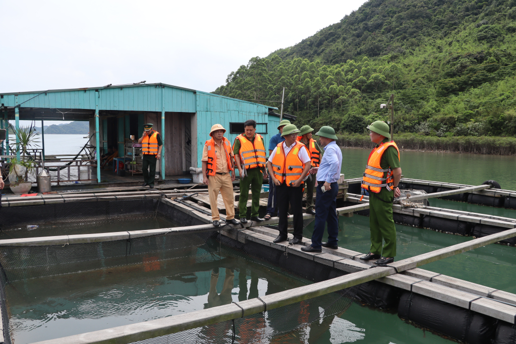 Kiểm tra việc chấp hành quy định về hoạt động nuôi trồng thuỷ sản biển và sử dụng vật liệu nổi trong môi trường biển.