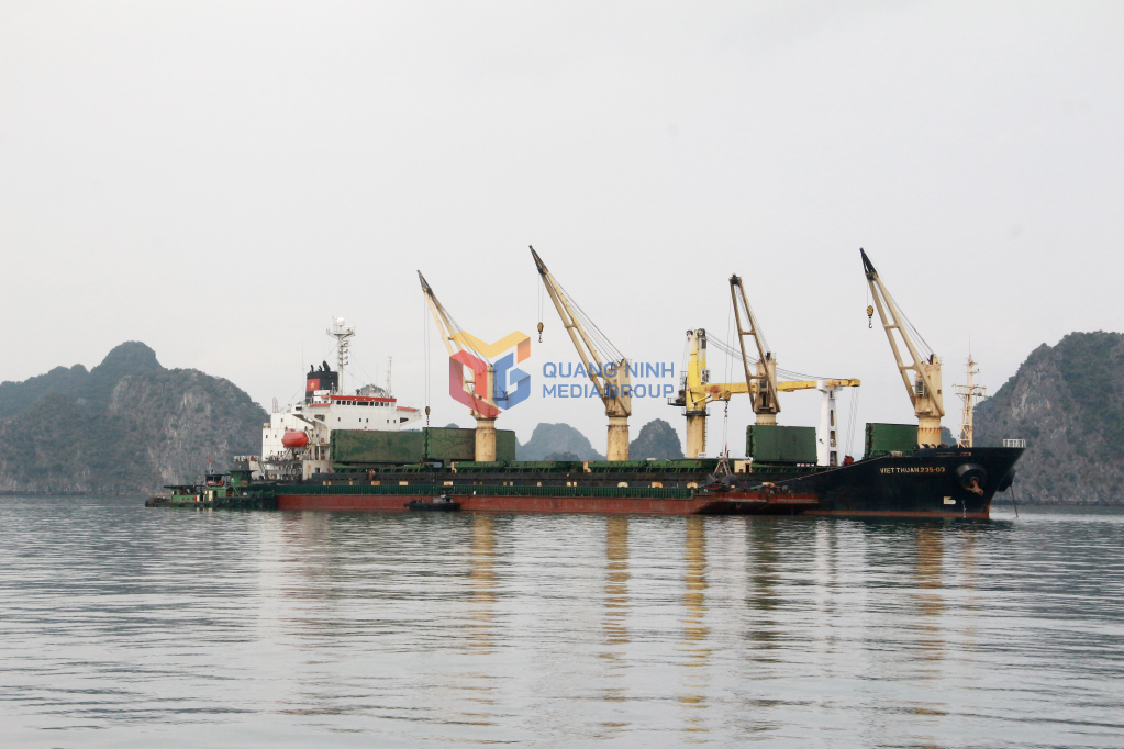 Bốc rót, tiêu thụ than tại cảng Hòn Nét - Con Ong (TP Cẩm Phả). Ảnh: Mạnh Trường