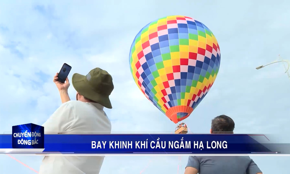 Bay khinh khí cầu ngắm Hạ Long