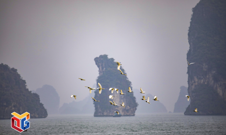 Ha Long - a peaceful land
