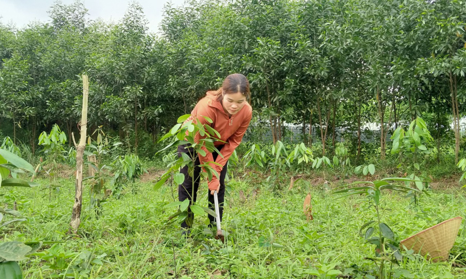 Chi hội trưởng phụ nữ người Sán Chay năng động